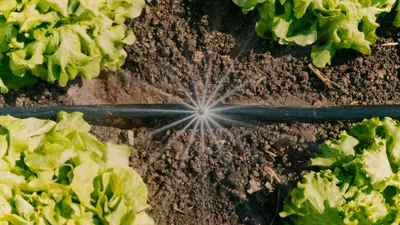 Produktbild von Gardena 13450-20, 25 m, Schwarz, Grün
