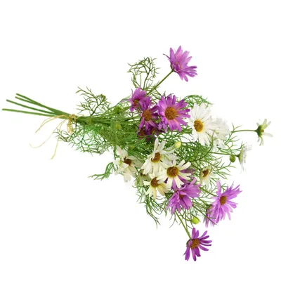 Produktbild von Wiese Gänseblümchen hell lila 70 cm