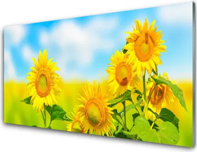 Produktbild von Acrylglasbilder 100x50 Wandbild Druck Sonnenblumen Pflanzen