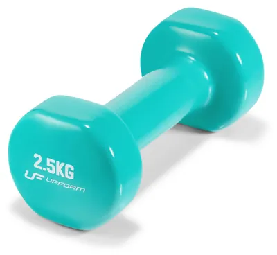 Produktbild von 2,5 kg Gusseisen Kurzhantel mit Vinylbeschichtung für Fitness und Krafttraining, Farbe Türkis
