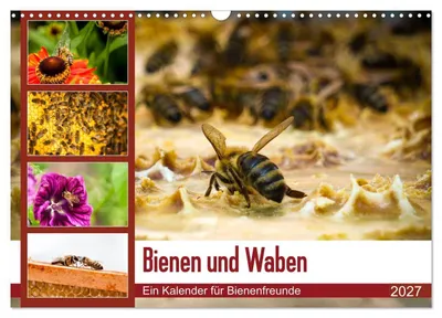 Produktbild von Bienen und Waben (Wandkalender 2027 DIN A3 quer), CALVENDO Monatskalender