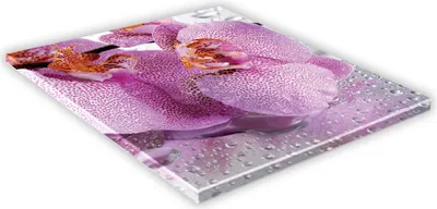 Zdjęcie produktu dla SZKLANA DESKA KUCHENNA 30x30 430f Orchidea