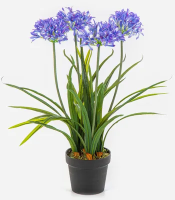 Produktbild von artplants.de Kunstblume Agapanthus LESEDA im Dekotopf, blau, 65cm - Künstliche Schmucklilie