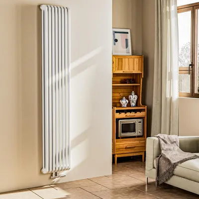 A modern living room with a radiator, wooden shelving unit, and sofa.