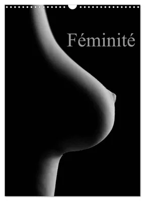 Image de Calendrier mural Féminité 2026, format A3