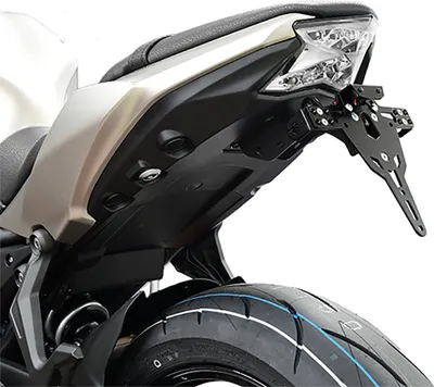 Immagine prodotto di Porta targa ZIEGER Pro compatibile con Kawasaki Z650 / Ninja 650 Francia