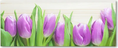 Produktbild von Tulup® Glas-Bild Wandbild aus Glas - 125x50 - Wandkunst - Wandbild hinter gehärtetem Sicherheitsglas - Dekorative Wand für Küche & Wohnzimmer  - Blumen & Pflanzen - Lila Tulpen - Lila