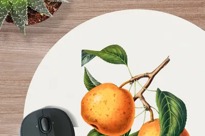 Produktbild von MuchoWow® Mauspad Mousepad Lebensmittel - Obst - Jahrgang 40x40 cm - Mousepads - Maus Mat - Pad - Mausunterlage - Schreibtisch Accessoires