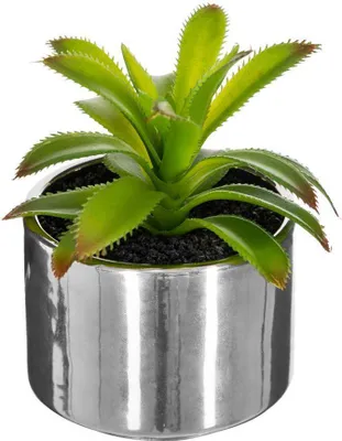 Produktbild von Grünpflanze keramiktopf h.15  - Atmosphera créateur d'intérieur