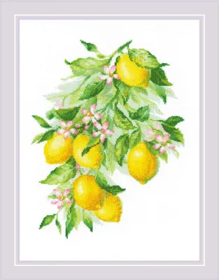 Immagine prodotto di Set per punto croce Riolis "Limoni luminosi", schema contato, 30x40cm