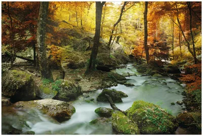 Produktbild von Wallario Premium Glasbild, freischwebende Optik, kräftige Farben, Größe 90 x 60 cm Motiv Wasserfall mit moosbedeckten Steinen im Herbstwald
