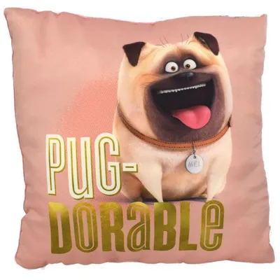 Produktbild von Pets Mel Kinderkissen ca. 30 x 30 cm hergestellt aus Polyester Motiv