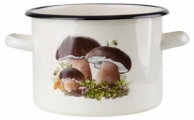 Obrázok produktu pre EMALIA RYBNIK oceľová panvica 20 cm 4,5 l béžová | Panvica z nehrdzavejúcej ocele | Indukčná panvica | Panvica s nepriľnavým povrchom