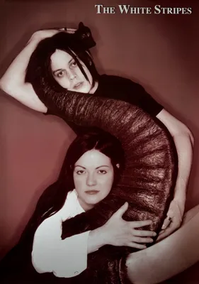 Imagen del producto de The White Stripes - Póster - 61x87 cm