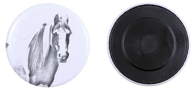Produktbild von Fellpony Magnes mit einem kleinen Pferd Art-Dog