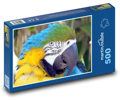 Zdjęcie produktu dla martinpuzzle - Puzzle 500 - Papoużka - ptak, piórko
