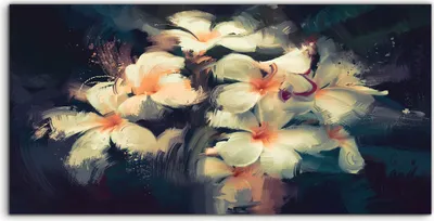 Produktbild von Coloray - Glasbild - 100x50 cm - Wandbild - Glasbilder - Kunst Gemälde weiße Blumen im Dunkeln