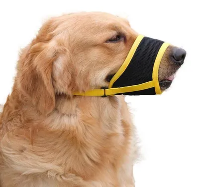 Produktbild von Maulkorb für Hunde, atmungsaktiv, weich, verstellbar, Gelb, Größe S