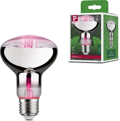 Produktbild von Paulmann Grow Green Edition Filament 230V LED Reflektor R80