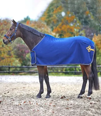 Image de Waldhausen Couverture polaire et sponsor bleu/or 155 cm