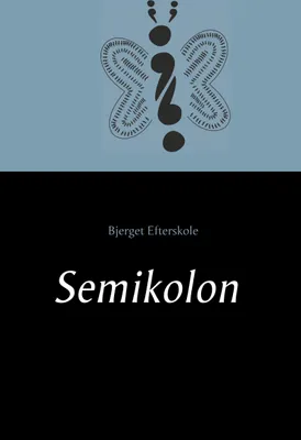 Produktbild von Semikolon