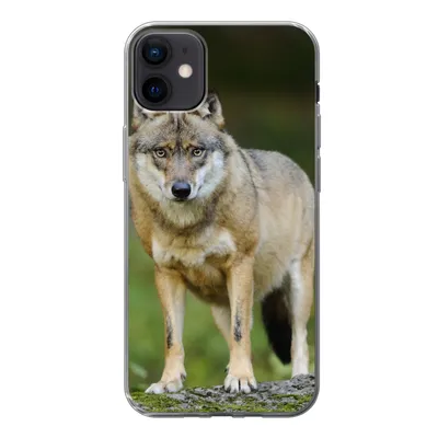 Produktbild von MuchoWow® Handyhülle Schutzhülle Hülle für iPhone 12 mini Wolf - Asien - Pflanzen Silikon Softcase Handy Hülle - Bild