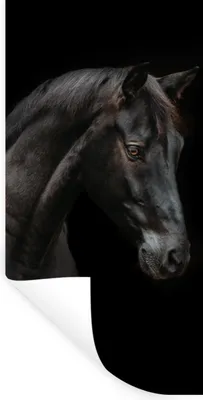 Produktbild von MuchoWow® Wandtattoo Wandsticker Wandaufkleber Pferd - Tier - Schwarz 20x40 cm Selbstklebend und Repositionierbar - Selbstklebend - Fototapeten