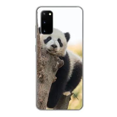 Produktbild von MuchoWow® Handyhülle Schutzhülle Hülle für Samsung Galaxy S20 Panda - Baum - Licht Silikon Softcase Handy Hülle - Bild