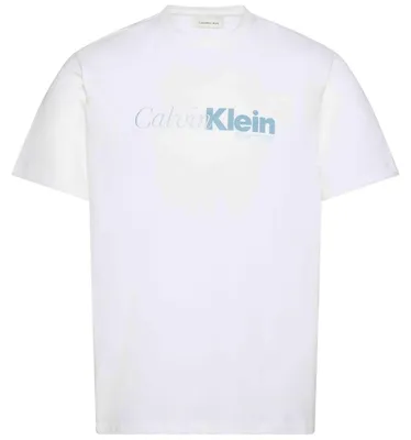 Produktbild von T-Shirt Calvin Klein LV04RD822G für Herren
