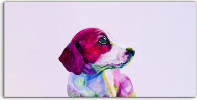 Produktbild von Coloray - Glasbild - 120x60 cm - Wandbild - Glasbilder - Porträt eines Welpen Hund Neonfarbe