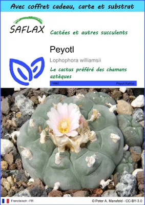 Image de SAFLAX Ensemble-cadeau - Peyotl - 20 graines - Lophophora