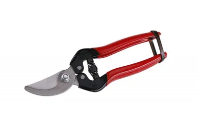 Immagine prodotto di Levior Secateurs arrotondate 18 cm