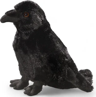 Image de Carl Dick Corbeau, corneille env. 23cm, peluche, animal en peluche, doudou 3748