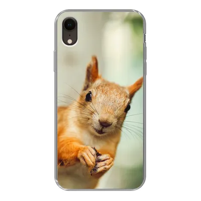 Produktbild von MuchoWow® Handyhülle Schutzhülle Hülle für iPhone XR Eichhörnchen - Lustig - Nuss - Kinder - Jungen - Mädchen - Kind Silikon Softcase Handy Hülle - Schutzdeckel