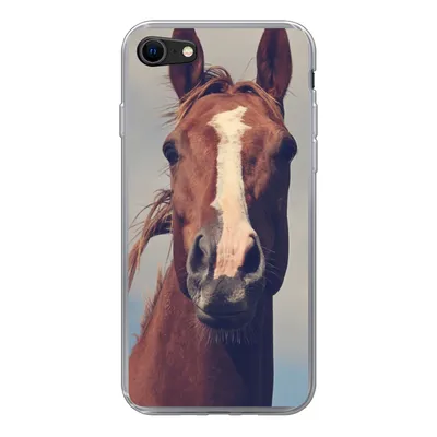 Produktbild von MuchoWow® Handyhülle Schutzhülle Hülle für iPhone SE 2020 Pferd - Wolken - Porträt Silikon Softcase Handy Hülle - Kartenbesitzer