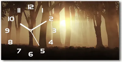 Produktbild von Wanduhr aus Glas – 60x30 cm - Glasbild - Glasuhr - Gehärtetes Glas - weisse-zeiger - Nebel im Wald