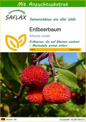 Produktbild von SAFLAX - Erdbeerbaum - 50 Samen - Mit keimfreiem Anzuchtsubstrat - Arbutus unedo