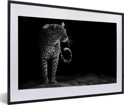 Produktbild von MuchoWow® MuchoWow® Gerahmtes Poster Leopard - Schwarz - Weiß 60x40 cm - Poster mit zchwarzem Bilderrahmen - Schlafzimmer - Plakat in Rahmen - Drucken