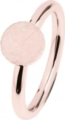 Produktbild von Ernstes Design Damen Ring Roségold-Ton mattierte Oberfläche klassisch-elegantes Design