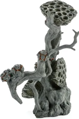 Obrázek produktu pro biOrb Lotus seedpod on Root L