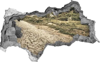 Produktbild von Selbstklebender Loch-3D-Aufkleber 95x73 cm Zwei Hunde auf dem Hügel