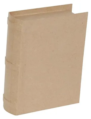 Produktbild von Clairefontaine Pappmaché Box Buchform 22,5x18x6cm