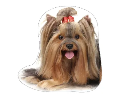 Obrázok produktu pre Dekoračný vankúš - Yorkshire Terrier