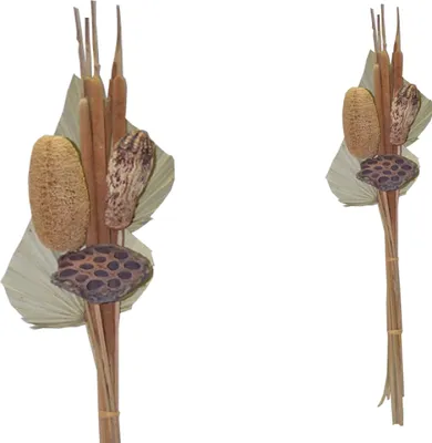 Produktbild von BOHO Trockenblumenstrauß gemischt Little Palm Natur 64 cm