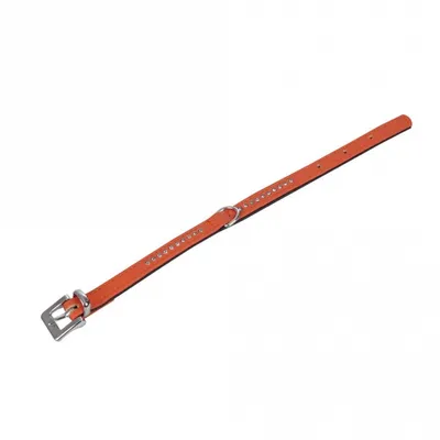 Produktbild von Karlie Vintage Strass Halsband - Mandarine - 1-reihig, 24cm/10mm