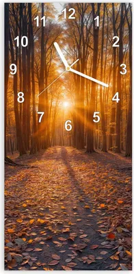 Produktbild von Wanduhr aus Glas mit Motiv Sonnenuntergang Wald- 30 x 60 cm - inkl. Aufhängesystem