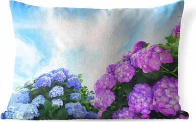 Produktbild von MuchoWow® Outdoor Kissen - Hortensie für blauen Himmel - 60x40 cm - Wetterfest - Lounge Kissen - Zierkissen - Kissen für Innenräume