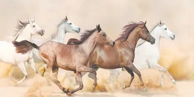 Produktbild von Tulup® Leinwandbild - 140x70 cm - Wandkunst - Drucke auf Leinwand - Leinwanddruck  - Tiere - Braun - Pferde im Galopp
