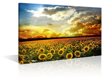 Zdjęcie produktu dla Dekoracja ścienna "Słonecznik" na płótnie, 40 x 60 cm