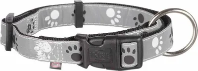 Produktbild von TRIXIE Halskette mit reflektierendem Silber, 4011905122212, xs-s